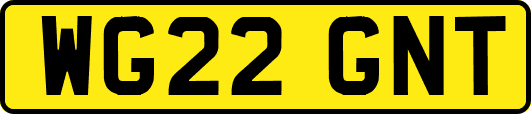 WG22GNT