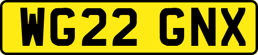WG22GNX