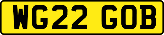 WG22GOB