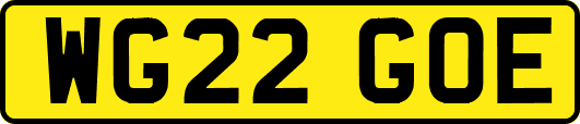 WG22GOE