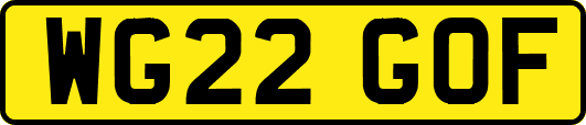 WG22GOF