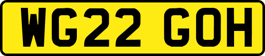 WG22GOH