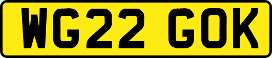 WG22GOK