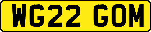 WG22GOM