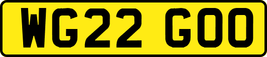 WG22GOO