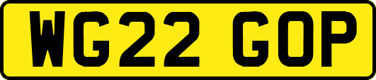 WG22GOP