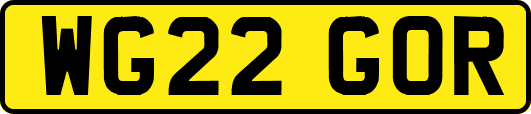 WG22GOR