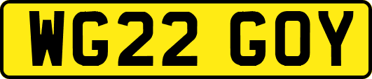 WG22GOY