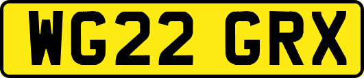 WG22GRX