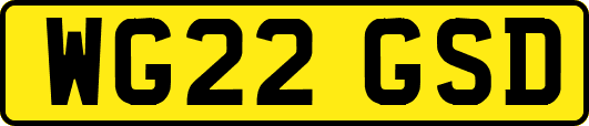 WG22GSD