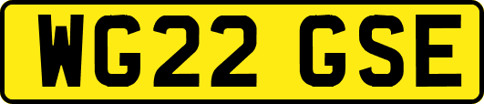 WG22GSE