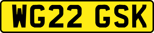 WG22GSK