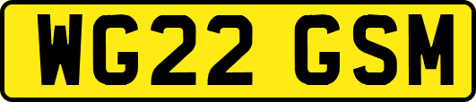 WG22GSM