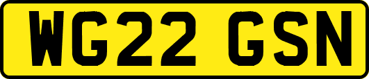 WG22GSN