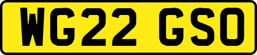 WG22GSO