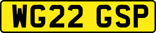 WG22GSP