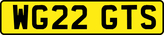 WG22GTS