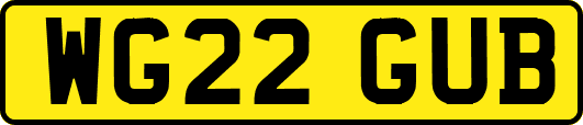 WG22GUB