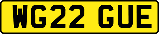 WG22GUE