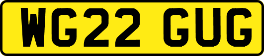 WG22GUG
