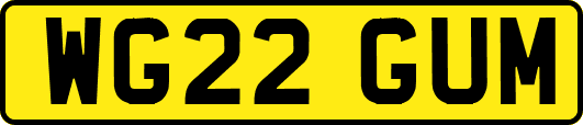 WG22GUM