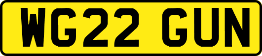 WG22GUN