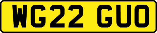 WG22GUO