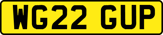 WG22GUP