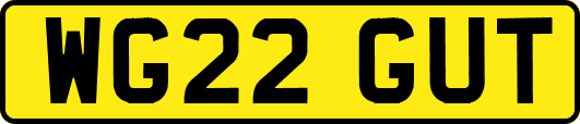 WG22GUT