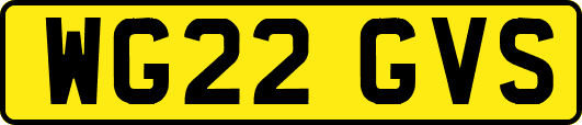 WG22GVS