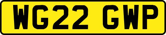 WG22GWP