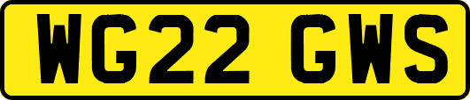 WG22GWS