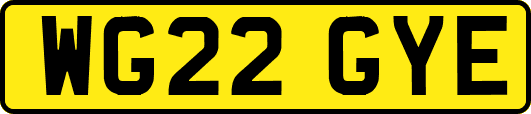 WG22GYE