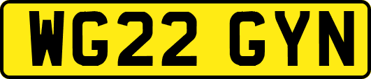 WG22GYN