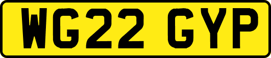 WG22GYP