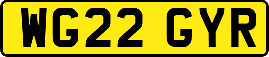 WG22GYR
