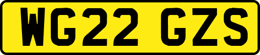 WG22GZS