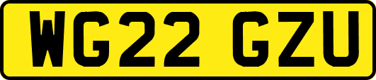 WG22GZU