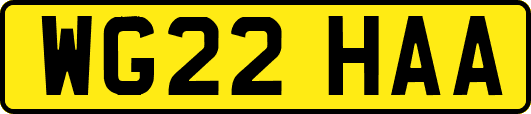 WG22HAA