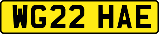 WG22HAE