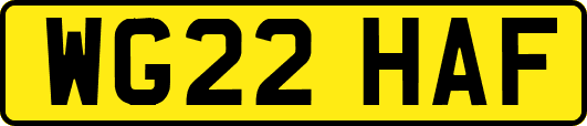 WG22HAF
