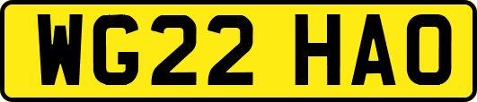 WG22HAO