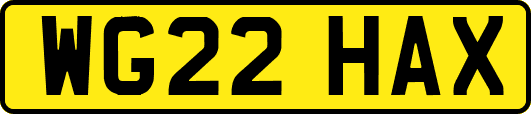 WG22HAX