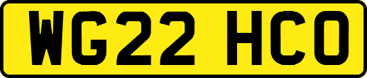 WG22HCO