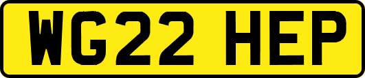 WG22HEP