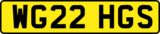 WG22HGS