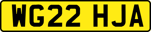 WG22HJA