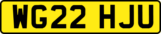WG22HJU