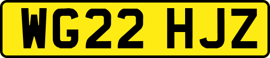 WG22HJZ