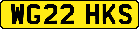 WG22HKS